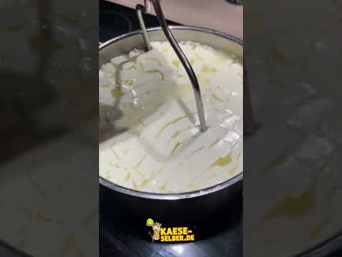 Camemert selber machen