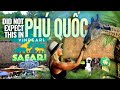 Phú Quốc Did Not Expect THIS Exploring Vinpearl Safari Vietnam
