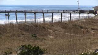 preview picture of video 'Hatteras Island Beach Report - 3.15.13 - Avon NC'