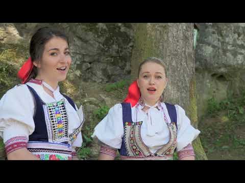 Textilanka - Rinaldíno