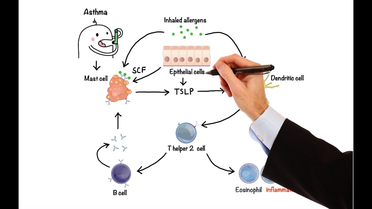Pharmacology - DRUGS FOR ASTHMA AND COPD (MADE EASY)