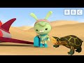 Tweak Meets A Pininga Turtle Octonauts CBeebies