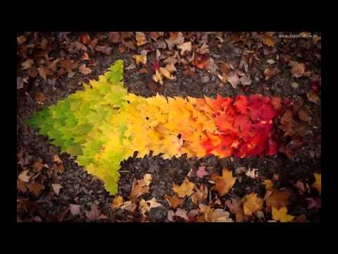 Szprancyl & Czeski - Jak Liście (Sandman Riddim)