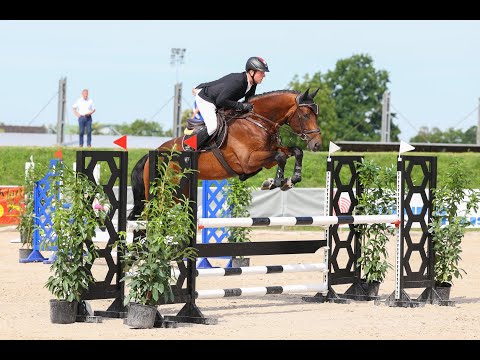 Diamant de Plaisir II von Diamant de Semilly x For Pleasure x Landor S