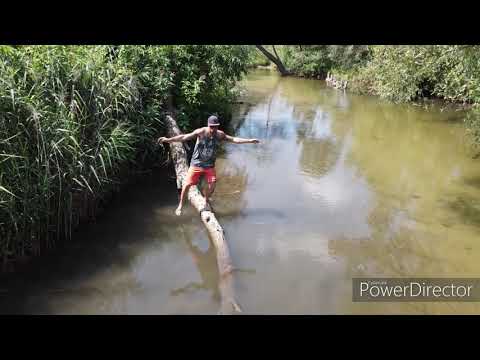 Kush'y Man - Sunshine Reggae