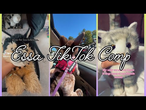 Essa TikTok comp | none are mine | credits to original owners