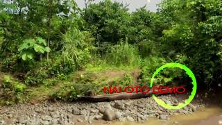 Download lagu NAI OTO BEMO mp3