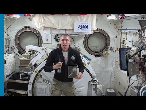Astronaut records Holocaust remembrance message in space - Jewish News