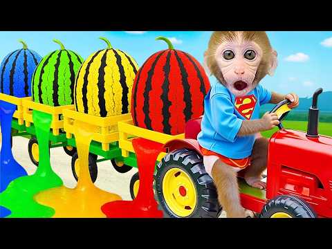 Monkey Bon Bon Drives a Car Back to School Adventure and Eats Watermelon | Bon Bon Indonesian