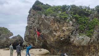 具志頭 豚チフス 1D