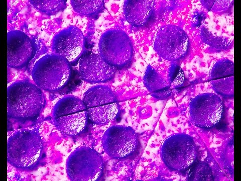 SQUIDBOYZ - Pizza Plug (Ft. AES Vissle THE PIZZA LORD)(Official Music Video)