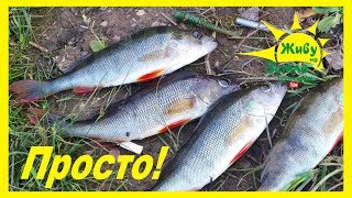 Виды оснастки по госту