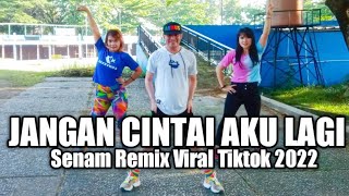 Download lagu DJ VIRAL TIKTOK JANGAN CINTAI AKU LAGI SENAM REMIX... mp3