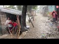 Rural Villages In Monsoon Rain A Peaceful Rain Walk