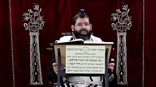 זבחים דף ס"ח ע"א ¤ הרב נתנאל אברז'ל ¤ בית הכנסת "בית מרדכי" (מוסדות תורת דוד) - התמונה מוצגת ישירות מתוך אתר האינטרנט יוטיוב. זכויות היוצרים בתמונה שייכות ליוצרה. קישור קרדיט למקור התוכן נמצא בתוך דף הסרטון