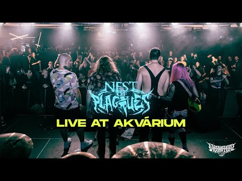 NEST OF PLAGUES - DEAR ABYSS & HELL IS A PLACE ON EARTH (LIVE AT AKVÁRIUM)