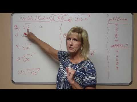 Allies Wiskunde 2020 GR. 8 - 04