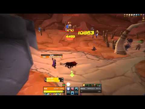 Patch 4.0.1 Feral Druid PVP Opener