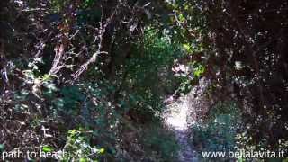 preview picture of video 'samos 2013  path to Agios Ioannis beach , the second'
