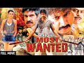 गोपीचंद और तृषा की हिट फिल्म | Phir Ek Most Wanted Full Movie Dubbed | Gop