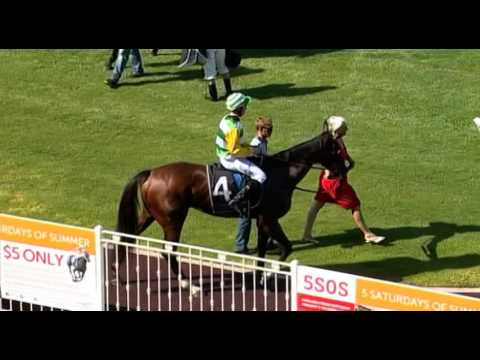 Ascot, 06/01/2015 - Race 4 - TRAVELLIN' - Jim Taylor & Clint Johnson-Porter