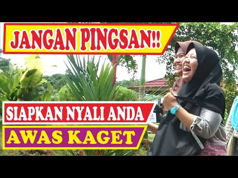 wisata-buken-auto-shocked-bushman-prank-prank-manusia-pohon