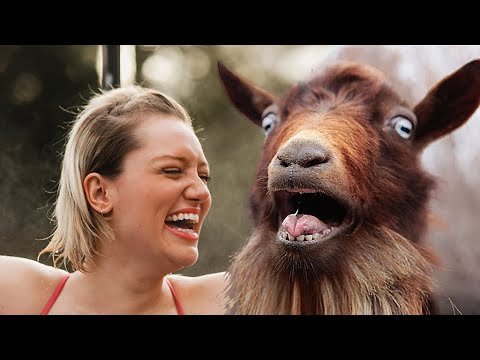 Funny Goats Screaming Like Humans Compilation 🐐🤣 Goats Yelling Like Humans