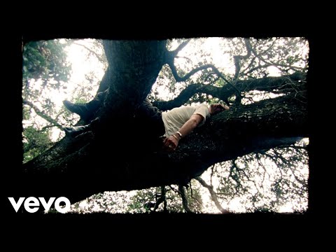 Del Water Gap - Never Speak Again (Official Visualizer)