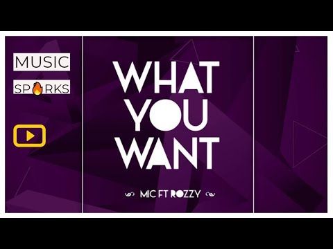 MIC X Rozzy - What You Want | Official Audio 2018 🇸🇱 | Music Sparks