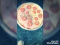 Pizza De Presunto E Queijo
