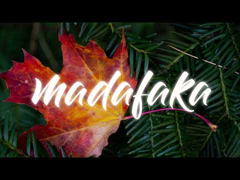 DECLARATION - ( DOCTEUR STEEVE x JACKY RAPON )