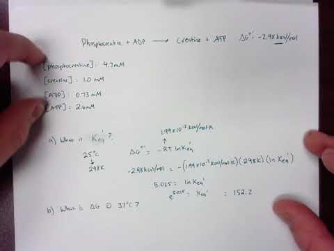 YouTube video about: How to calculate delta ph?