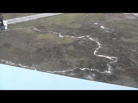 ȘCOALA SĂSCIORI 1 DECEMBRIE 2013