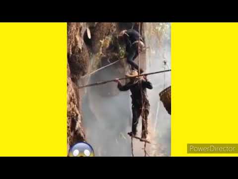 Série de apicultura assiática 1. video