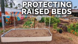 How to Perfectly Pest-Proof a Raised Bed