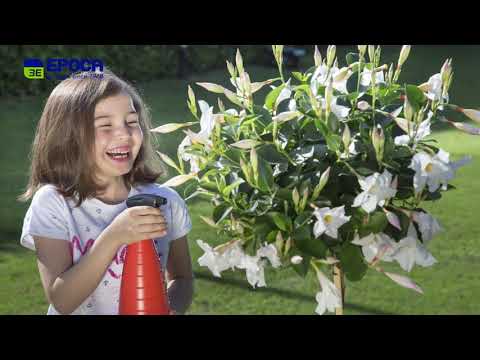 SCRATCH TV - SPECIALE LE STRADE BIANCHE