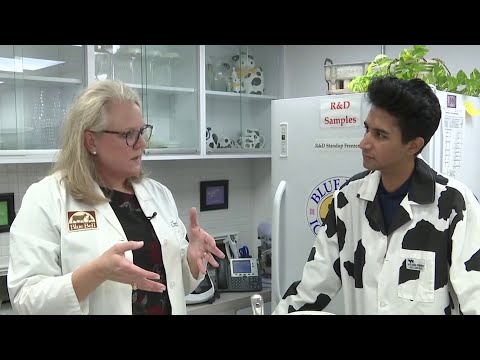 The science behind Blue Bell Ice Cream | STEM City