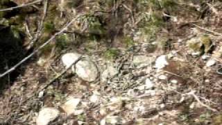 preview picture of video 'Narcisse Snake Dens, Manitoba'