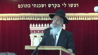 הלכות ברכת הפירות | הרב יורם סרי