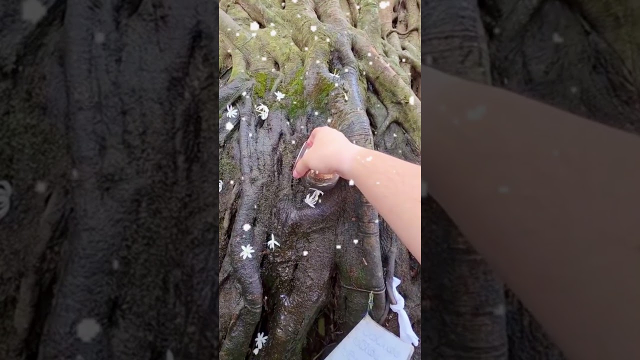 การทำการบูชาแสดงทำความเคารพเจาะจงต่อพระผู้มีพระภาคเจ้า. ชื่อว่ารัตนะที่จะเสมอด้วยพระตถาคตจึงไม่มี