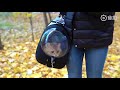 Видео о товаре Explorer Airline, складная сумка-переноска с окном, для собак и кошек / Ibiyaya (Китай)