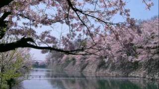 contrary by clifford t ward