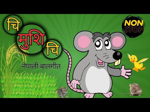 Chi mushi chi, Meo Meo biralo, kukhuri ka and more | Nepali nursery rhymes