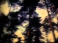 Barzin - My Life in Rooms (Subtitulada)