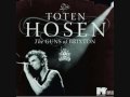 Die toten Hosen Guns of Brixton unplugged 