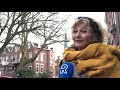Bewoners verbolgen over kap van 80 jaar oude kastanjeboom: 'Het is het juweeltje van de buurt'