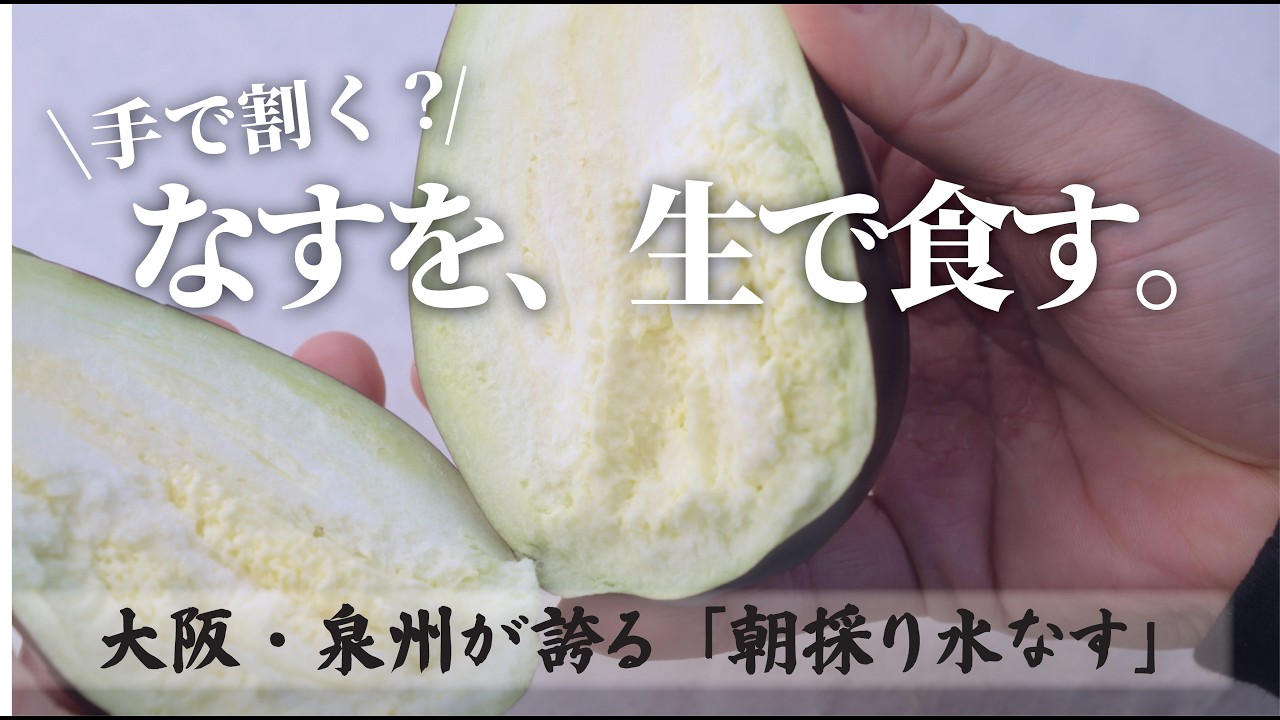 動画サムネイル