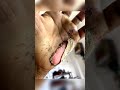 Bike Status Ktm Bike Status Bike Accident Bike Accident Status Ktm Viral Shorts Ktmlover