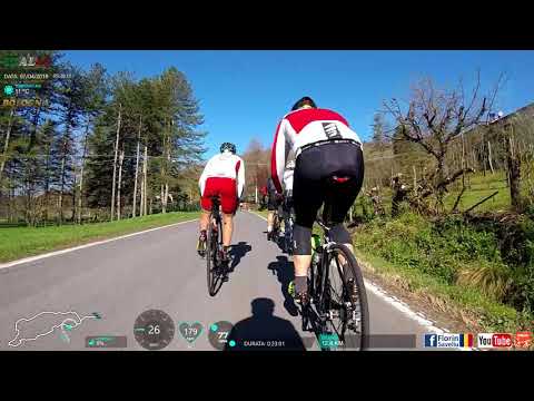 07/04/2018 - Allenamento con la Balla di Bologna