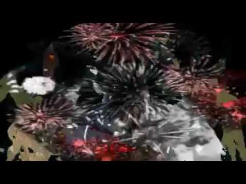 ANGELOU CHEVAUCHET ( zaina )